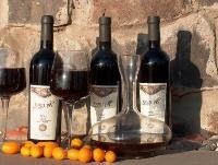 יקב 'עין נשוט' השיק יינות מסדרת קברנה 2007 ושירז צרפתי 2007
